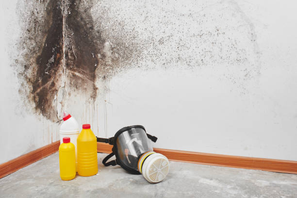 Best Mold Testing  in Crownsville, MD