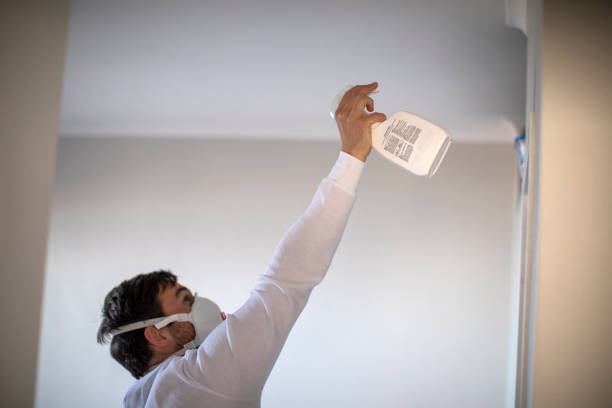 Best Affordable Mold Removal  in Crownsville, MD
