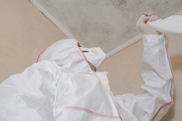 Office Mold Removal Services in Crownsville, MD