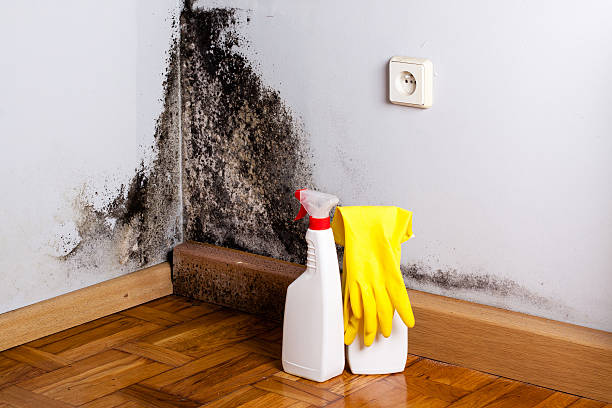 Best Water Damage Restoration  in Crownsville, MD